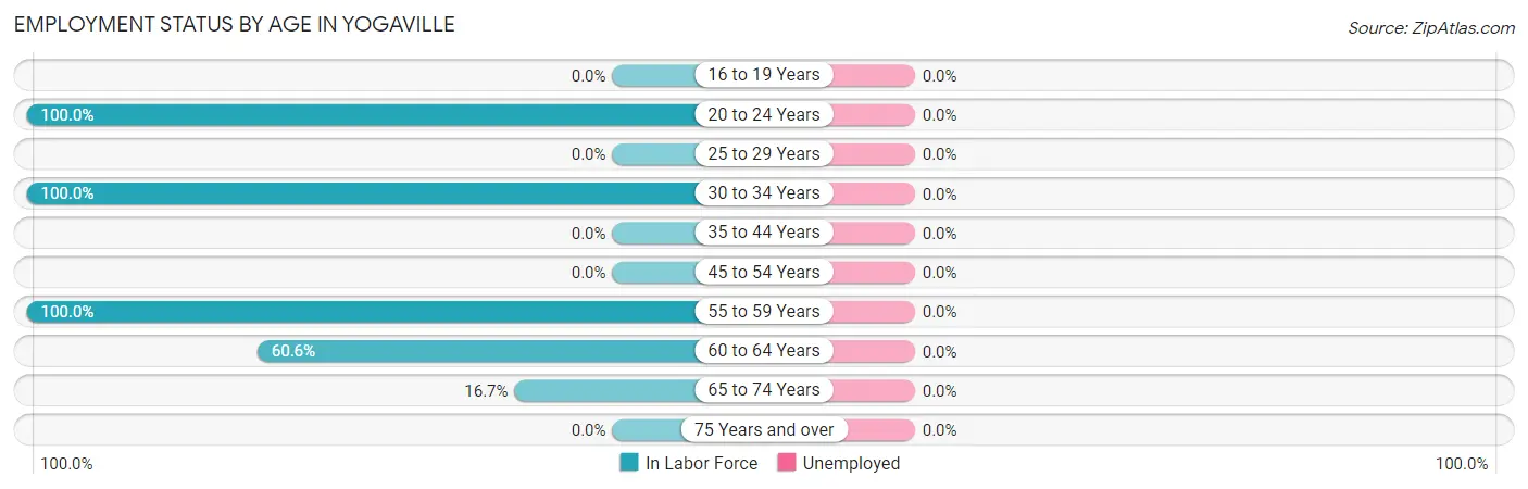Employment Status by Age in Yogaville