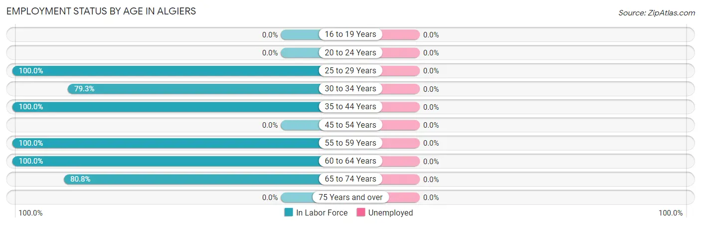 Employment Status by Age in Algiers