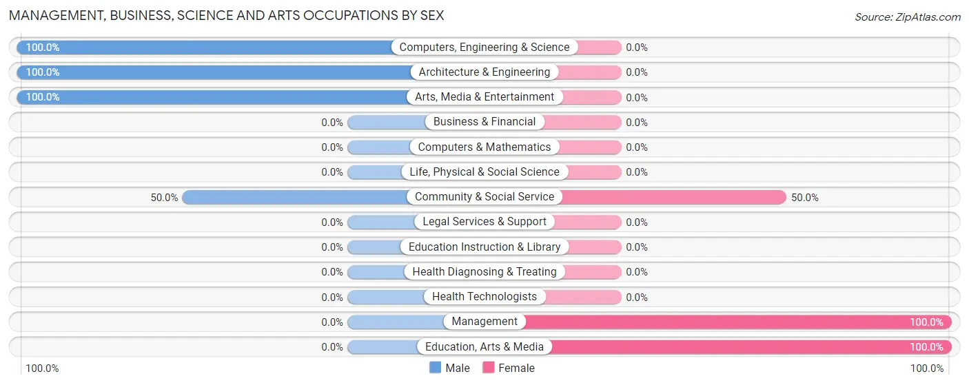 Management, Business, Science and Arts Occupations by Sex in Algiers