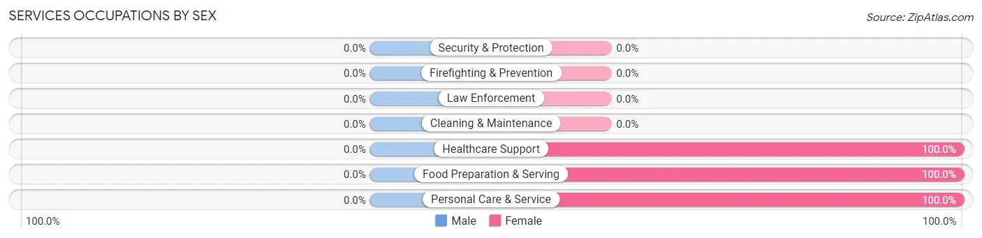 Services Occupations by Sex in Algiers
