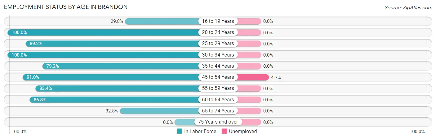 Employment Status by Age in Brandon