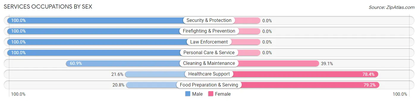 Services Occupations by Sex in Brandon
