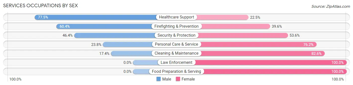 Services Occupations by Sex in Brattleboro