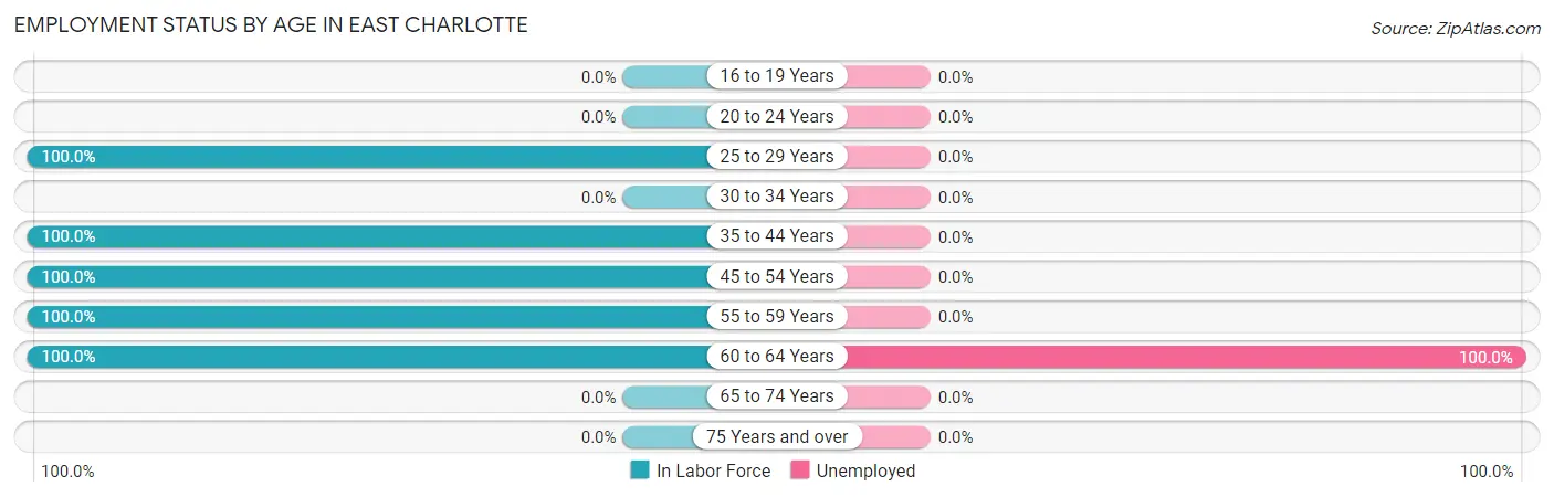 Employment Status by Age in East Charlotte