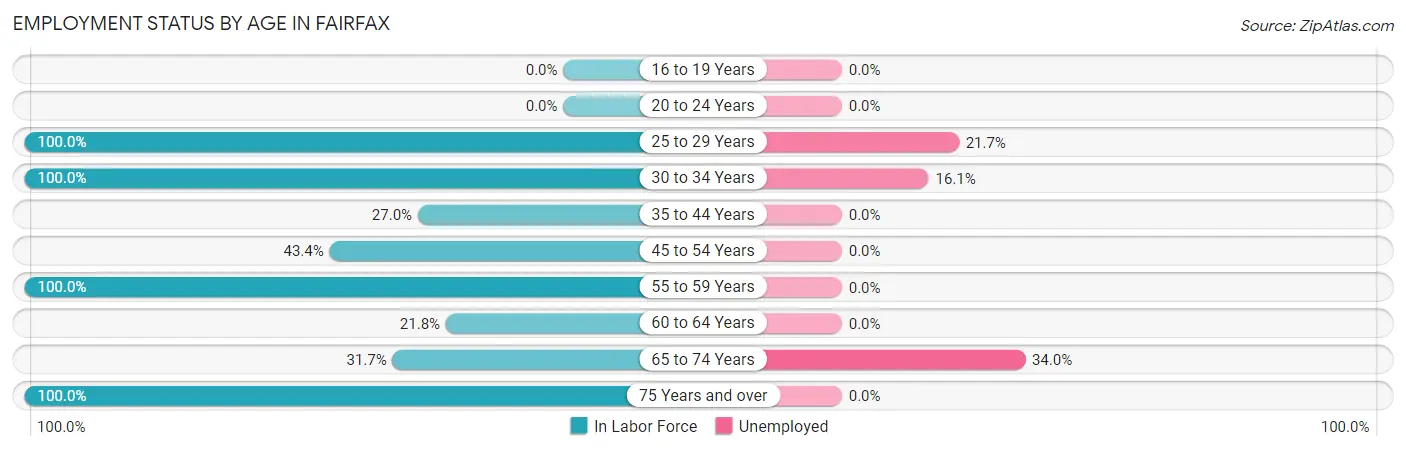 Employment Status by Age in Fairfax