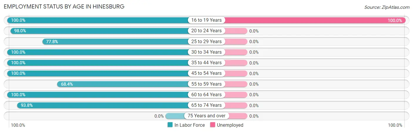 Employment Status by Age in Hinesburg