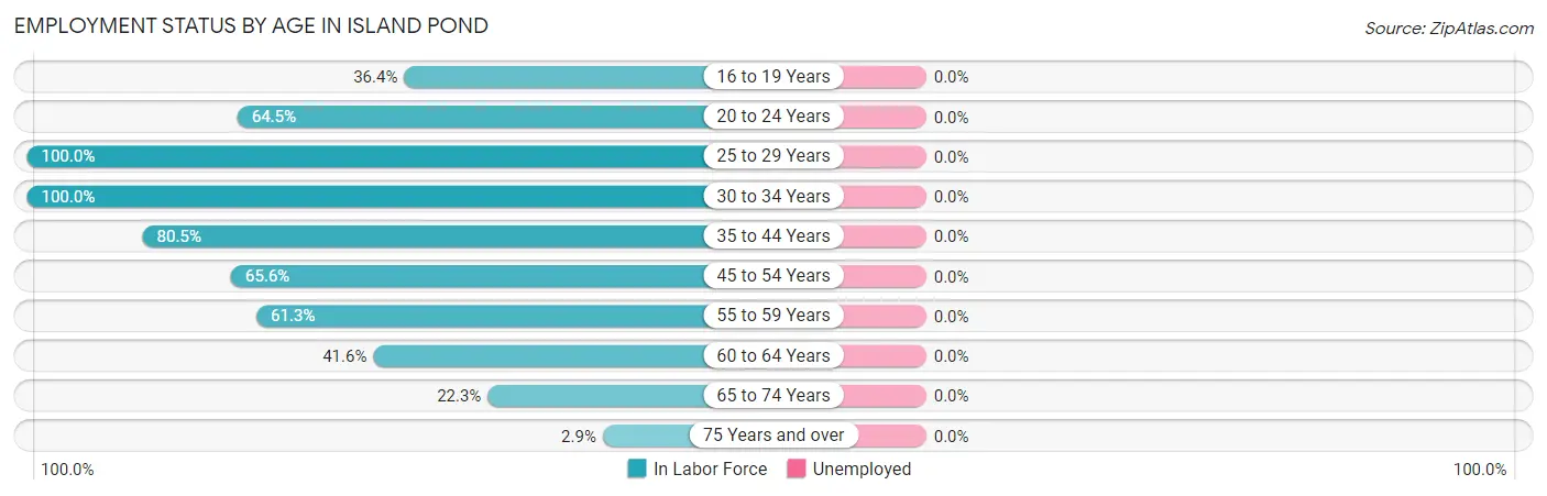 Employment Status by Age in Island Pond