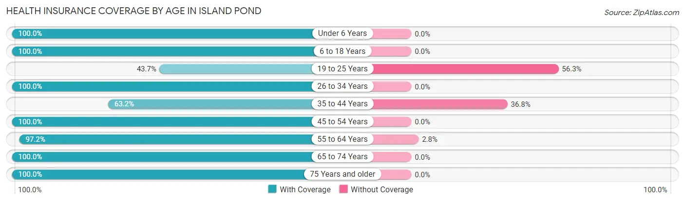 Health Insurance Coverage by Age in Island Pond