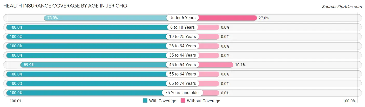 Health Insurance Coverage by Age in Jericho