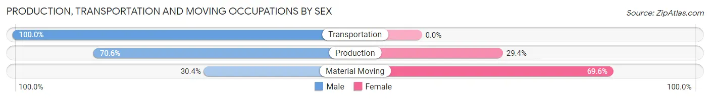 Production, Transportation and Moving Occupations by Sex in Ludlow
