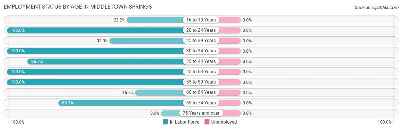 Employment Status by Age in Middletown Springs