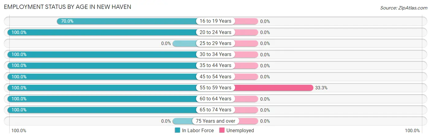 Employment Status by Age in New Haven