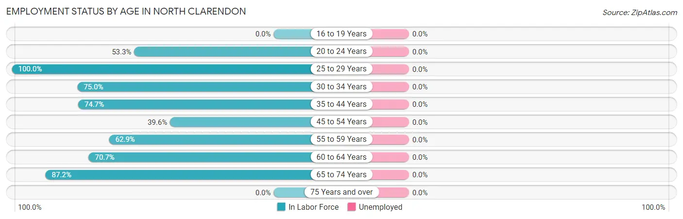 Employment Status by Age in North Clarendon