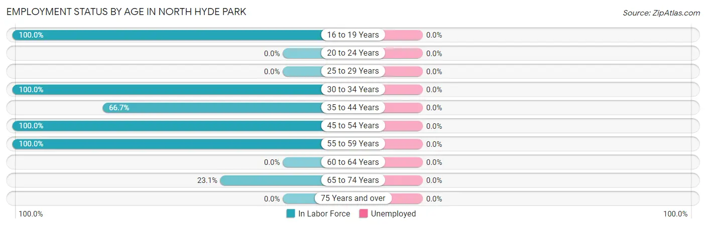 Employment Status by Age in North Hyde Park