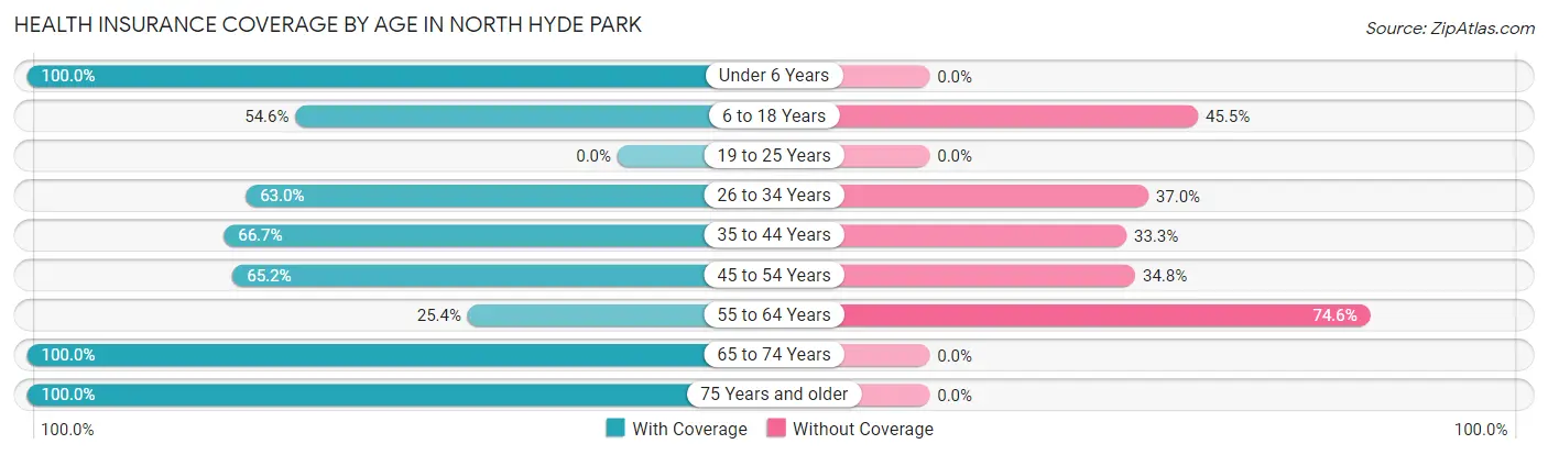 Health Insurance Coverage by Age in North Hyde Park