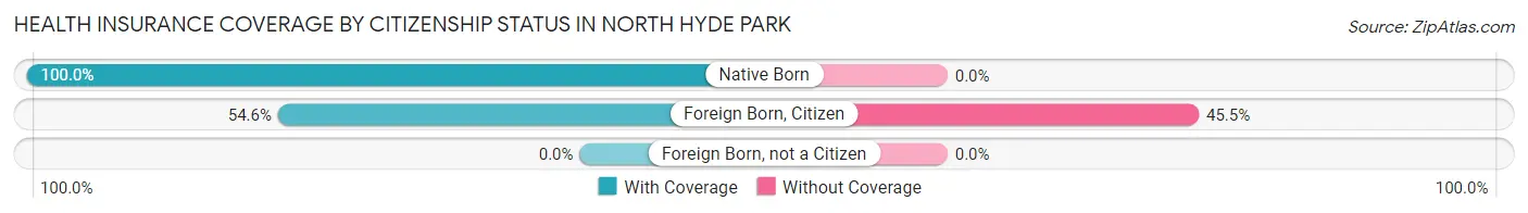 Health Insurance Coverage by Citizenship Status in North Hyde Park