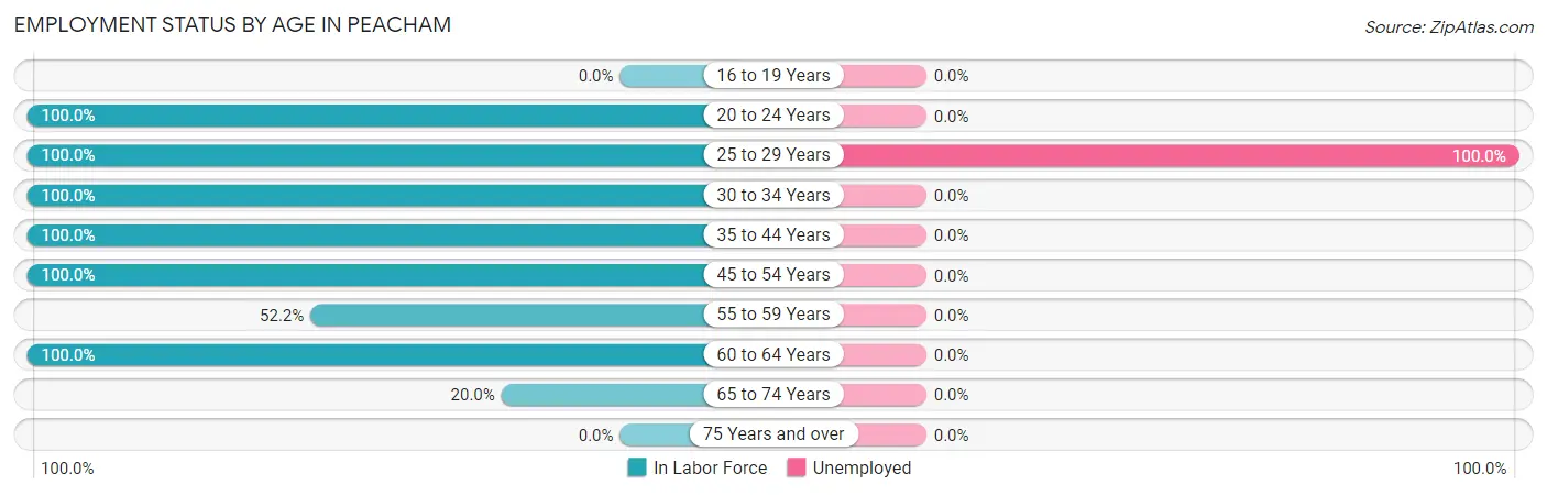 Employment Status by Age in Peacham