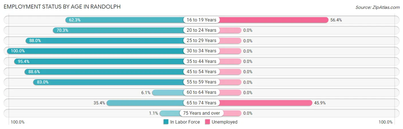 Employment Status by Age in Randolph