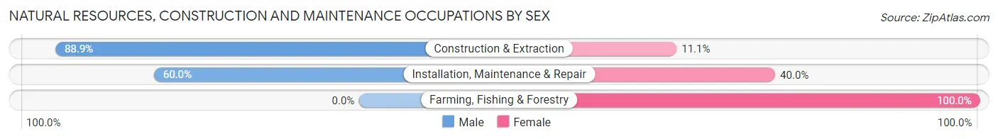 Natural Resources, Construction and Maintenance Occupations by Sex in Vergennes