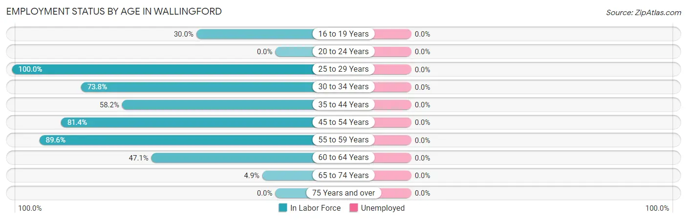 Employment Status by Age in Wallingford