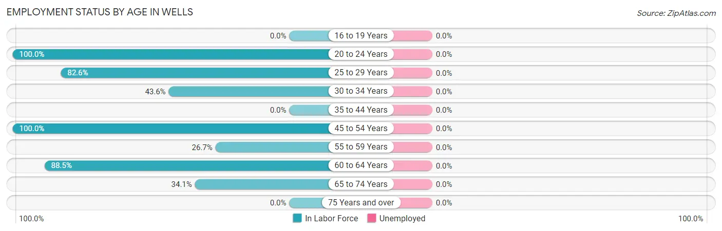 Employment Status by Age in Wells