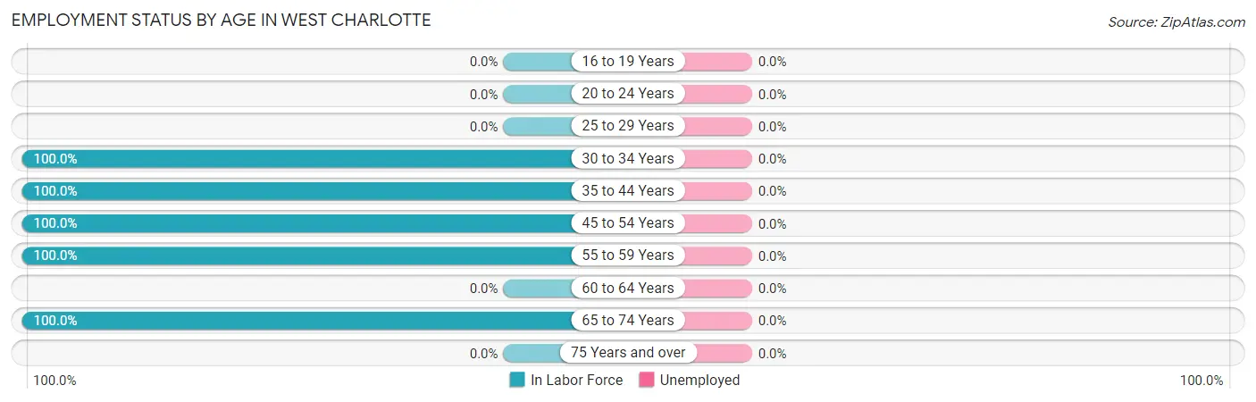 Employment Status by Age in West Charlotte
