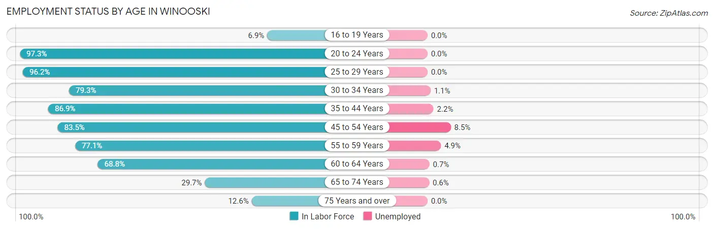 Employment Status by Age in Winooski