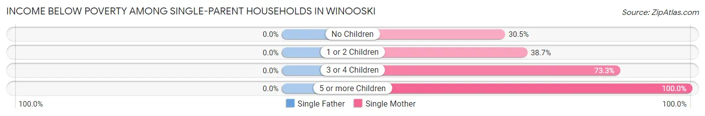 Income Below Poverty Among Single-Parent Households in Winooski