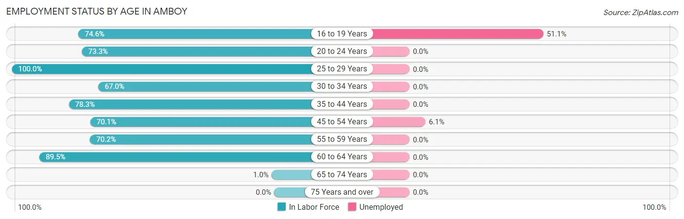 Employment Status by Age in Amboy