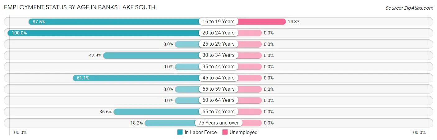 Employment Status by Age in Banks Lake South