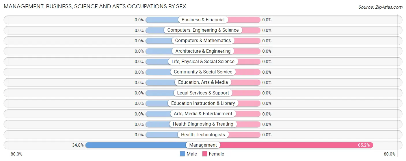 Management, Business, Science and Arts Occupations by Sex in Banks Lake South