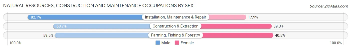Natural Resources, Construction and Maintenance Occupations by Sex in Belfair