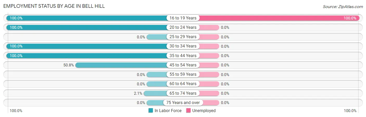 Employment Status by Age in Bell Hill