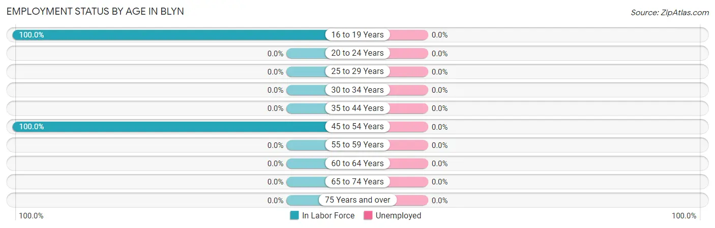 Employment Status by Age in Blyn