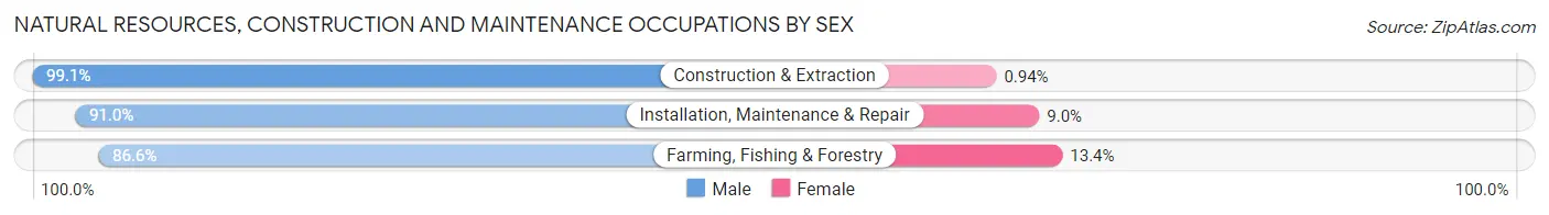 Natural Resources, Construction and Maintenance Occupations by Sex in Bonney Lake