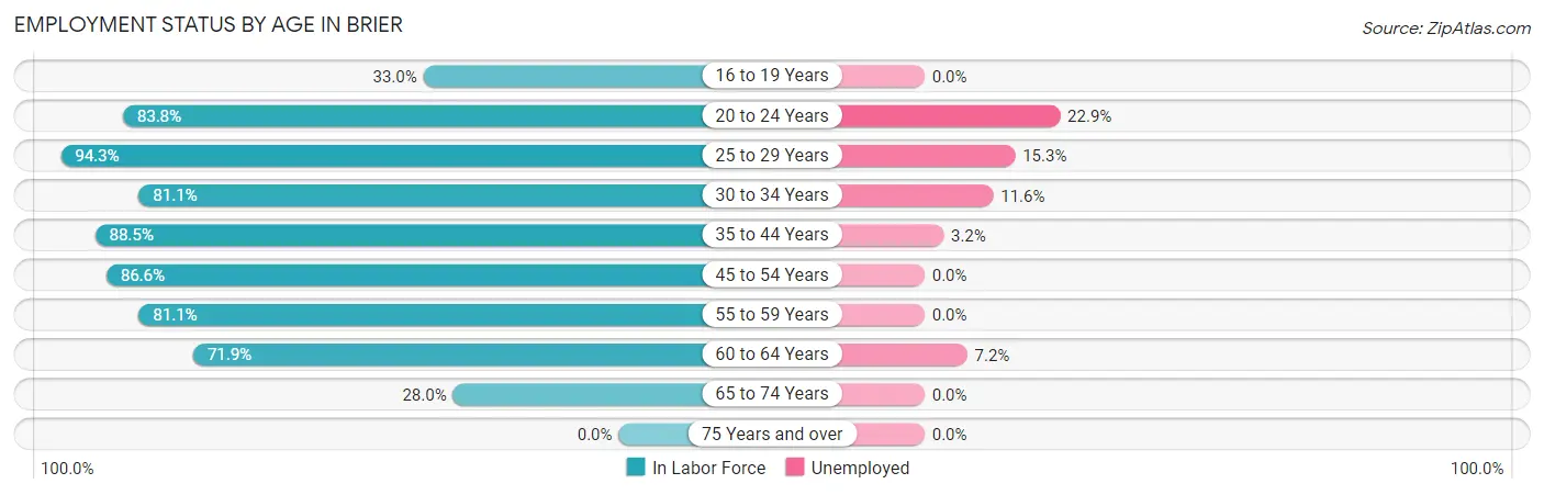 Employment Status by Age in Brier