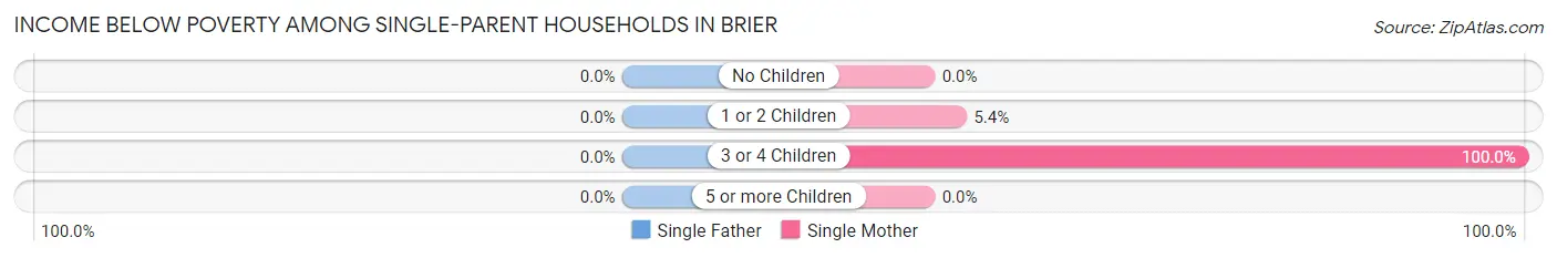 Income Below Poverty Among Single-Parent Households in Brier