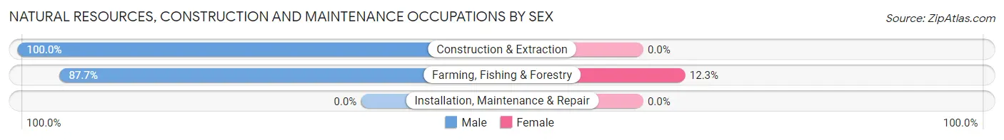 Natural Resources, Construction and Maintenance Occupations by Sex in Cascade Valley