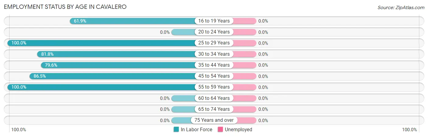 Employment Status by Age in Cavalero
