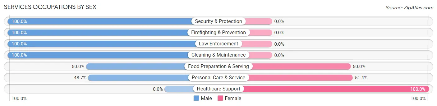 Services Occupations by Sex in Chain Lake