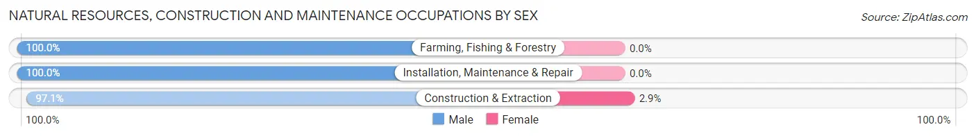 Natural Resources, Construction and Maintenance Occupations by Sex in Chehalis