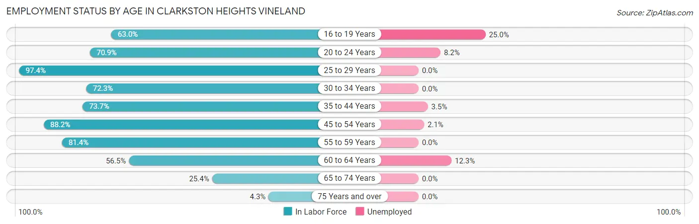 Employment Status by Age in Clarkston Heights Vineland