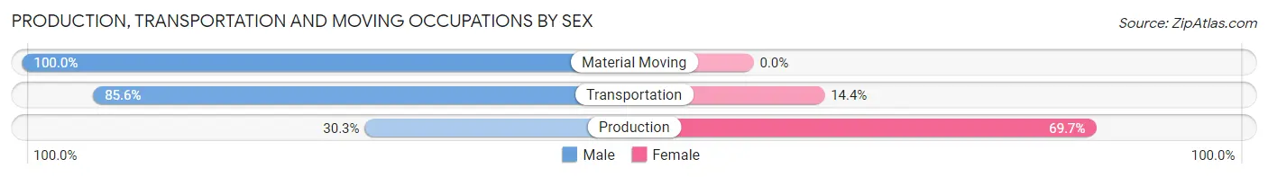 Production, Transportation and Moving Occupations by Sex in Clarkston Heights Vineland