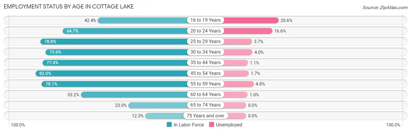 Employment Status by Age in Cottage Lake