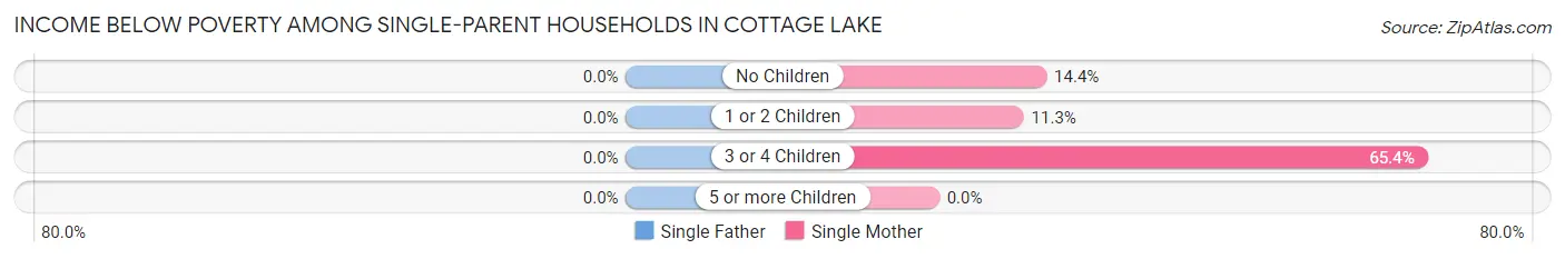 Income Below Poverty Among Single-Parent Households in Cottage Lake