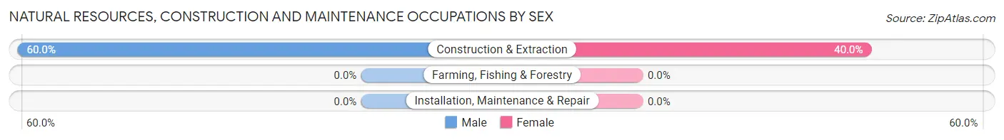 Natural Resources, Construction and Maintenance Occupations by Sex in Easton