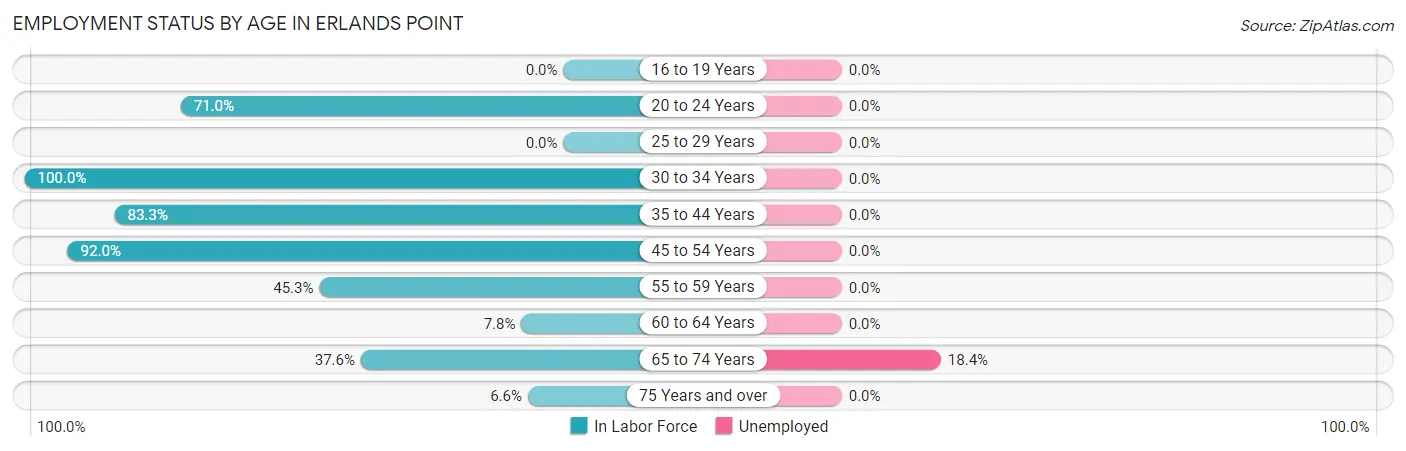Employment Status by Age in Erlands Point