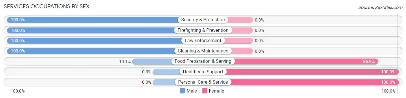 Services Occupations by Sex in Fall City