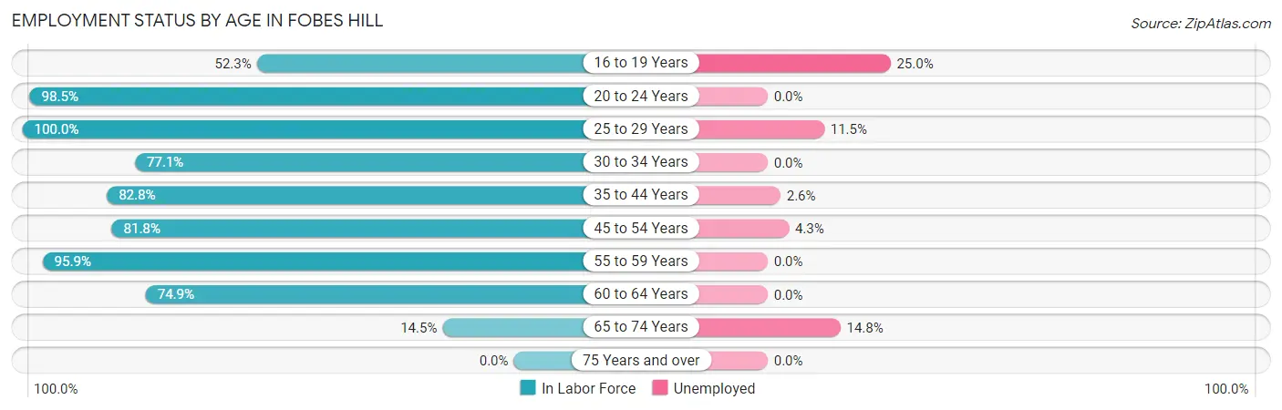 Employment Status by Age in Fobes Hill