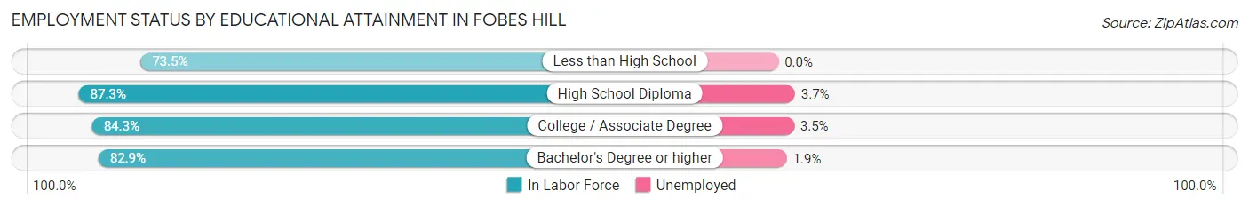 Employment Status by Educational Attainment in Fobes Hill